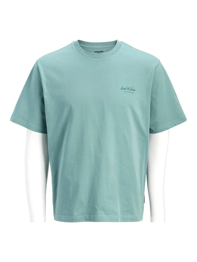 Jjarchive Graphic Tee Ss O Neck Noos