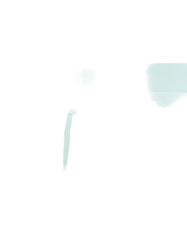 G PT