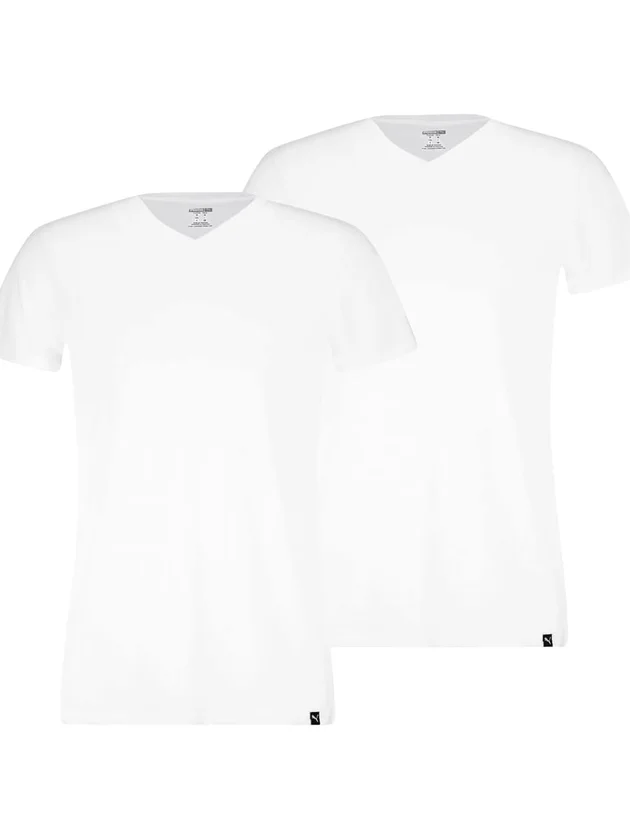 Everyday V Neck Tee 2P