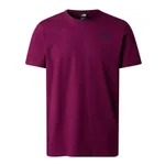 BOYSENBERRY