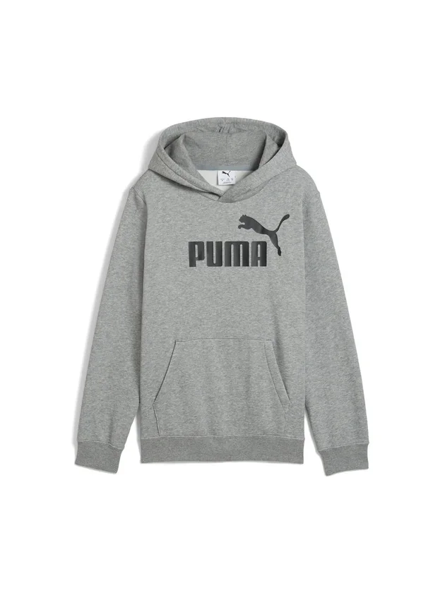Ess No 1 Logo Hoodie Fl B