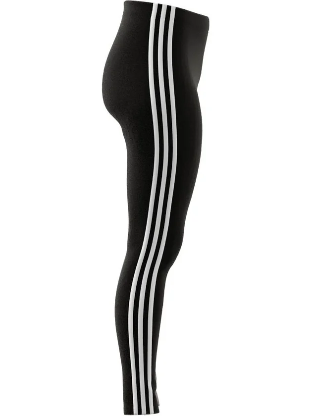CB SJ Leg