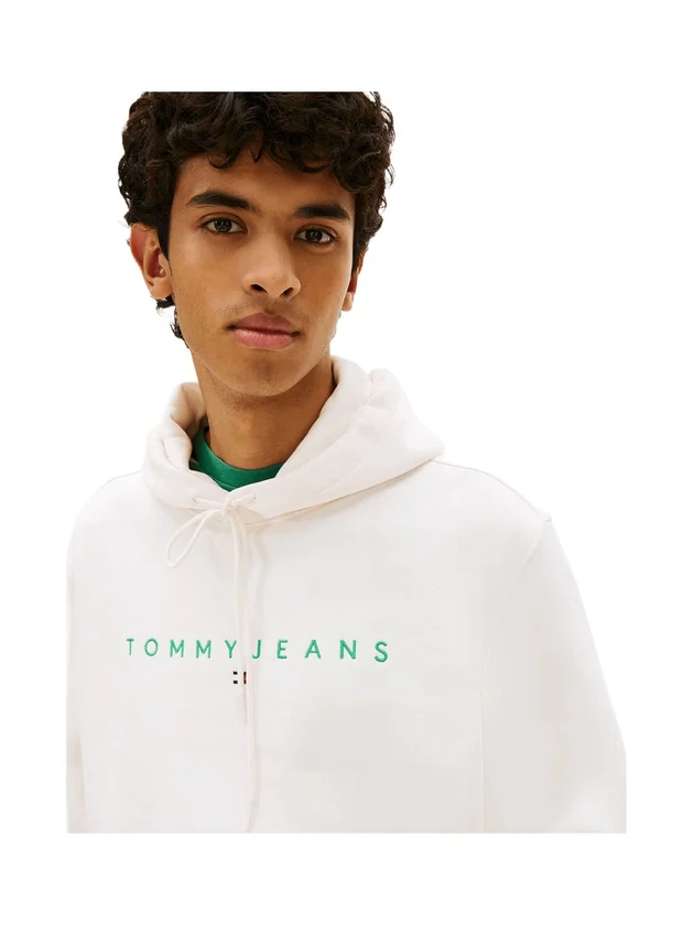 Reg Linear Logo Hoodie Ext