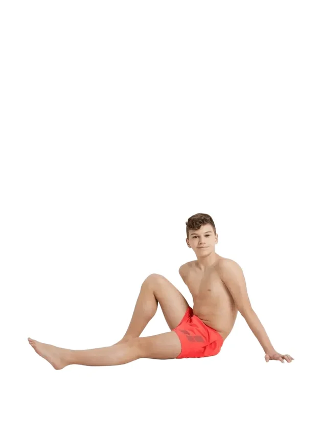 Beach Boxer Logo