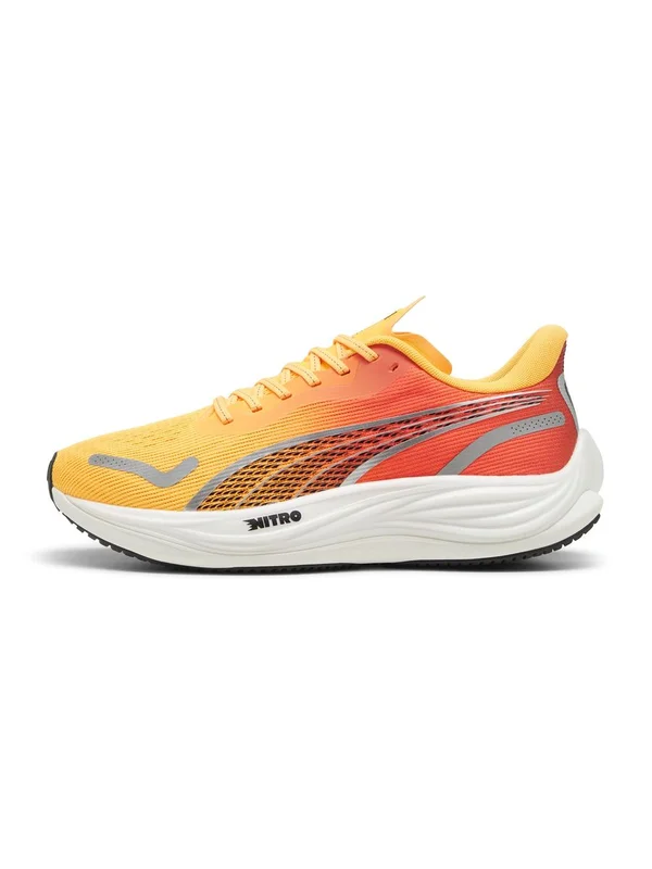 Velocity Nitro 3 Fade
