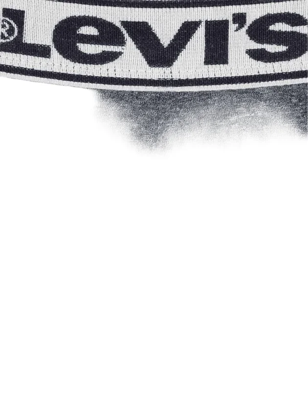 Vntg Htr Boxer Brief 2P
