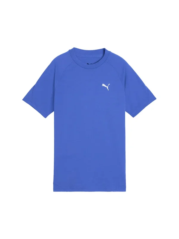 Evostripe Tee B