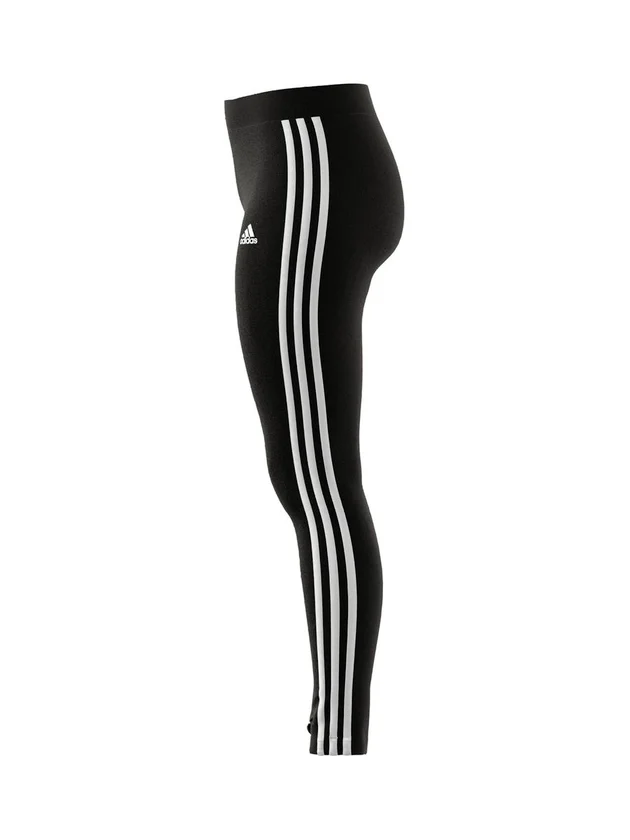 3S Leg