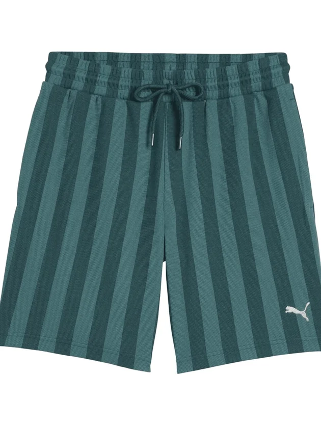 Class 8 Shorts