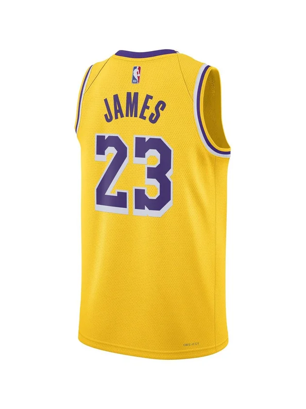 Los Angeles Lakers Domicile Icon Player