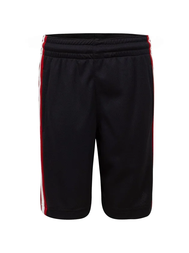 Air Jordan HBR Bball Short