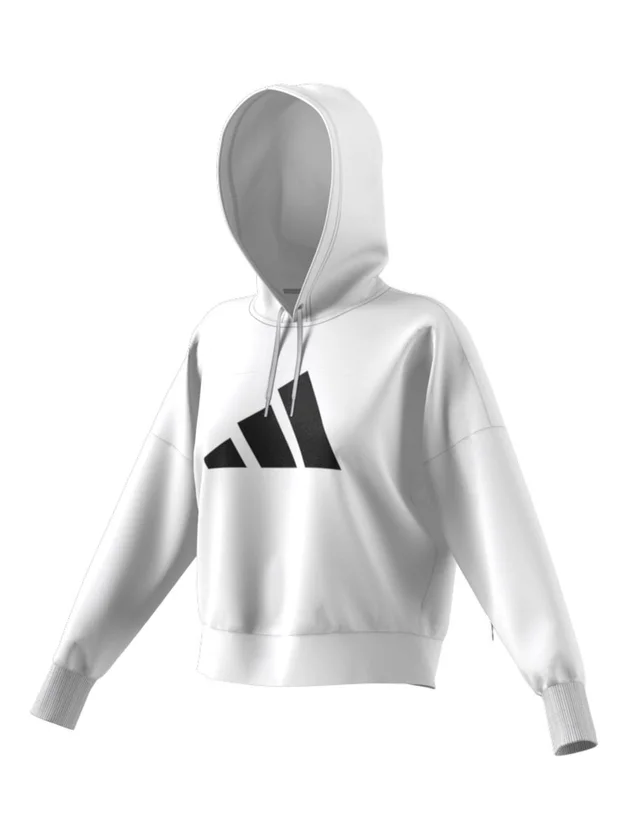 Fi 3B Hoodie