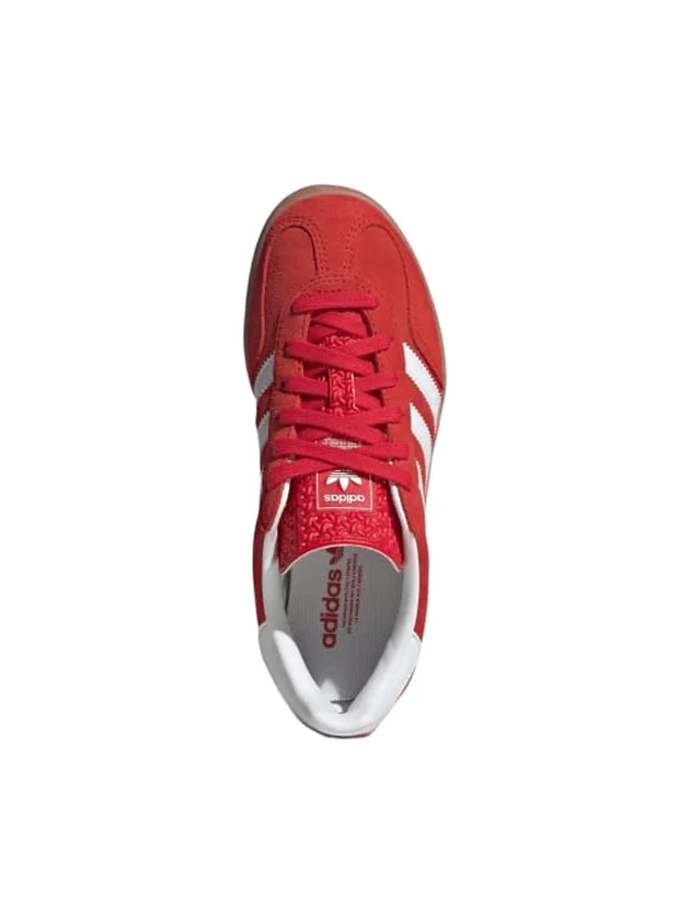 Gazelle Indoor