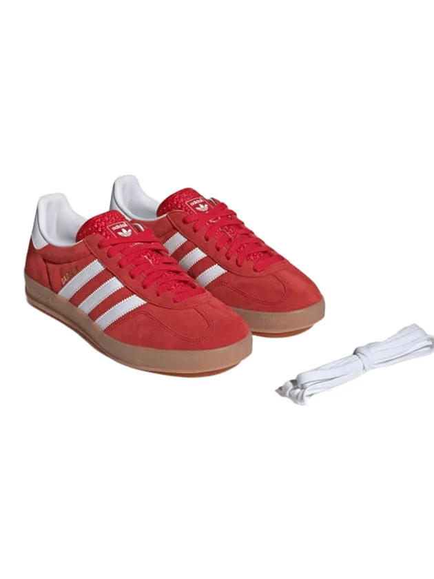 Gazelle Indoor