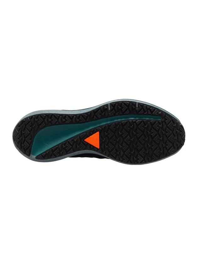 Air Winflo Shield