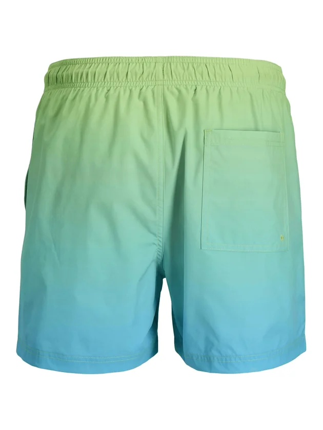 Horizon Dip Dye Swim Shorts