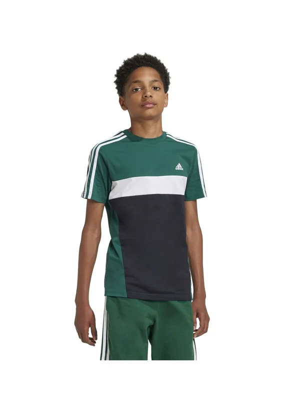 3S Tib T