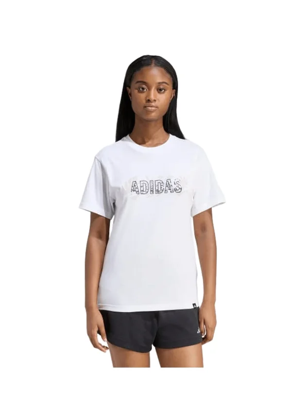 Animal T