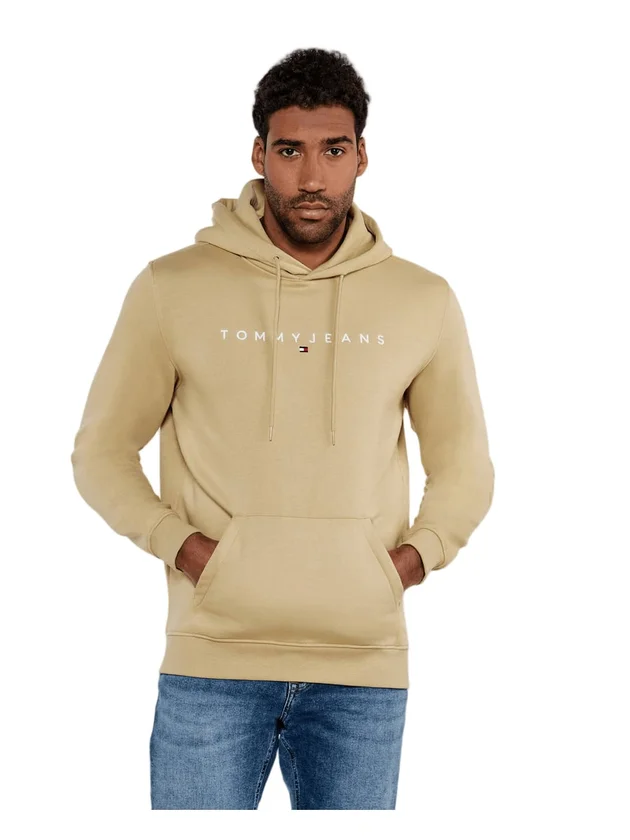 Reg Linear Logo Hoodie Ext