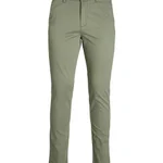 DEEP LICHEN GREEN