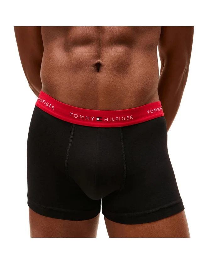 3P WB Trunk