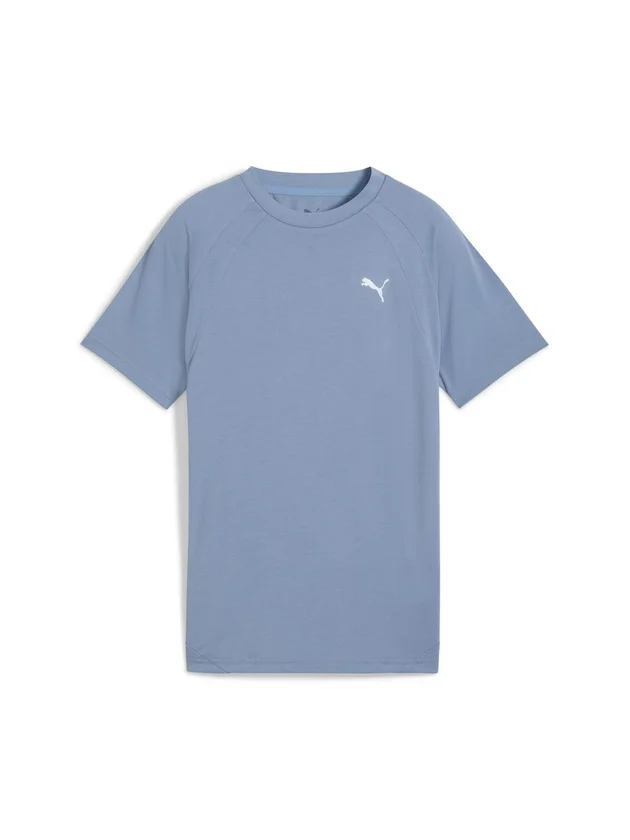 Evostripe Tee B