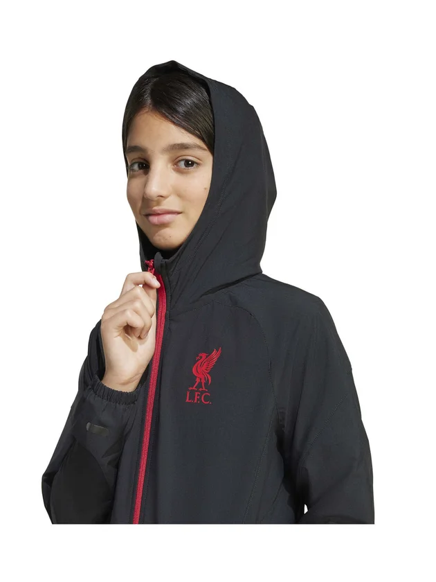 Liverpool Travel