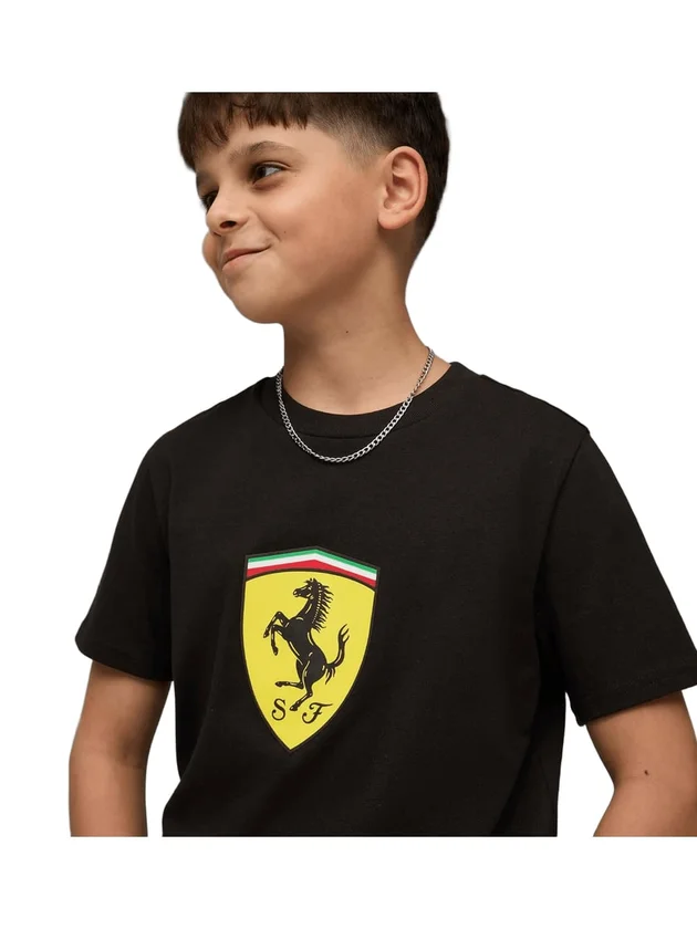 Colored Shield Tee