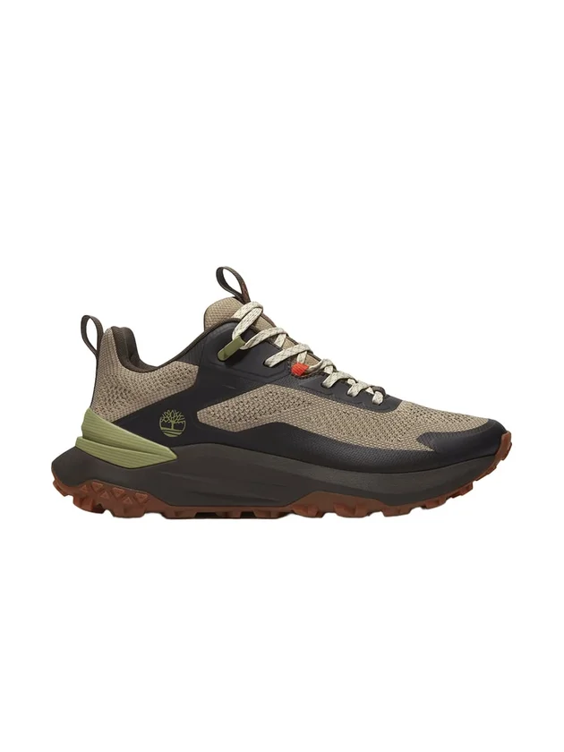 Low Lace Up Sneaker