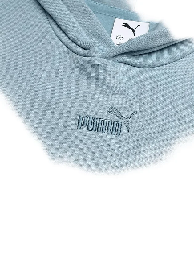 Ess Small No1 Logo Centered Hoodie Fl