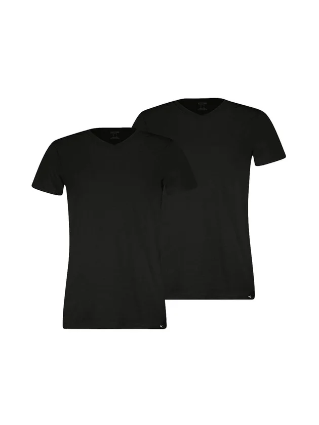 Everyday V Neck Tee 2P