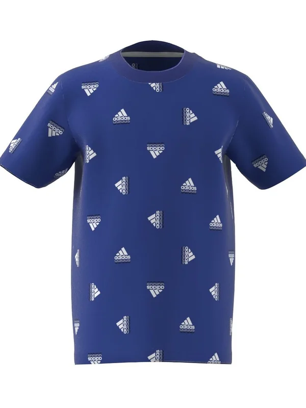 Lk Bluv Co Tee