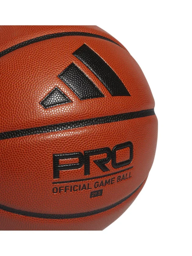 Pro 3.0