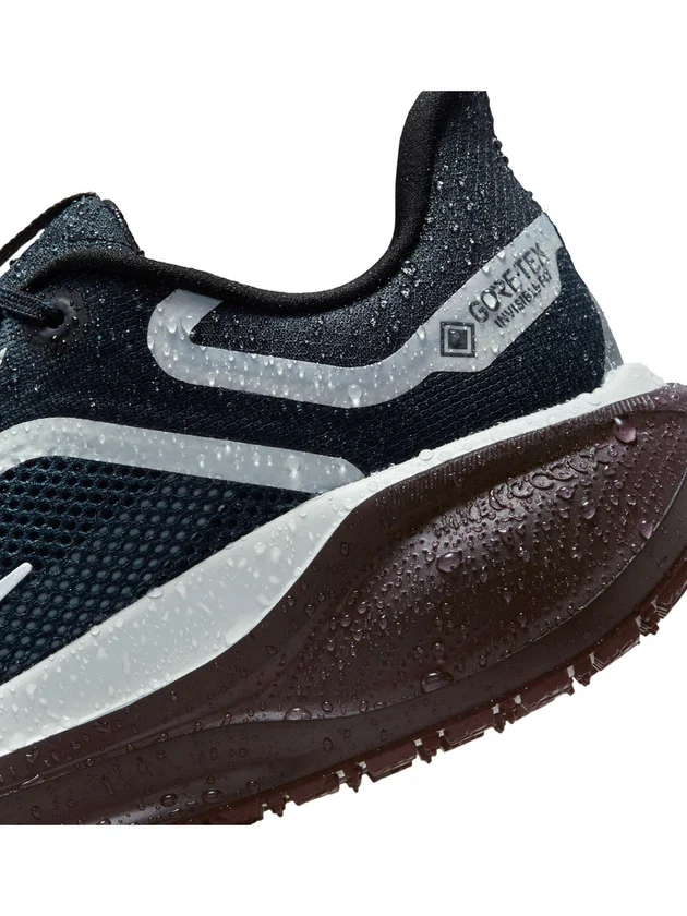 Air Zm Pegasus 41 GTX