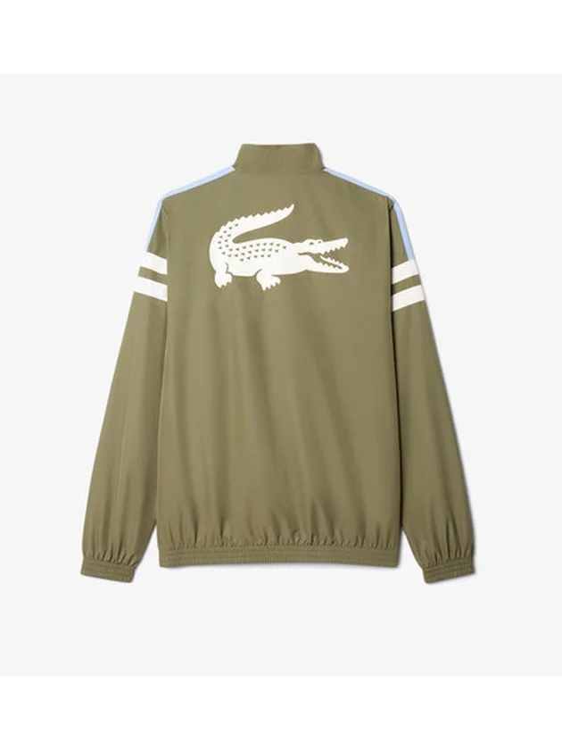 Technical Capsule