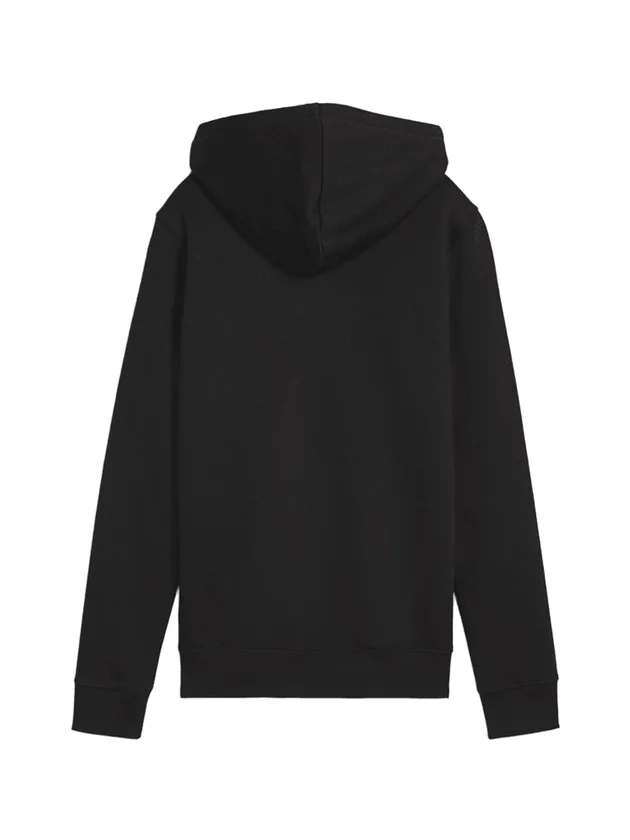 Ess Metallic Hoodie Fl