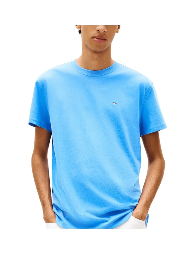 Tjm Reg Sflag Ss Tee