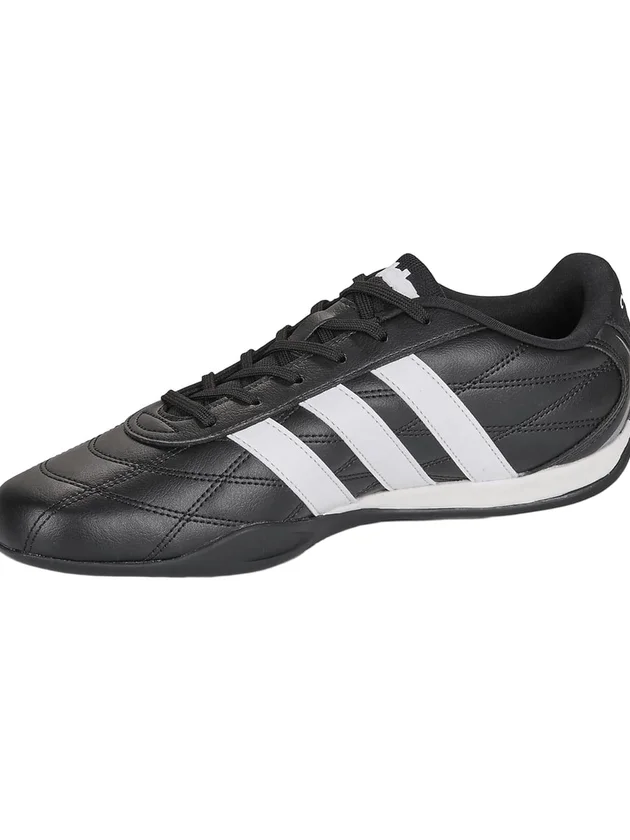 Adipista