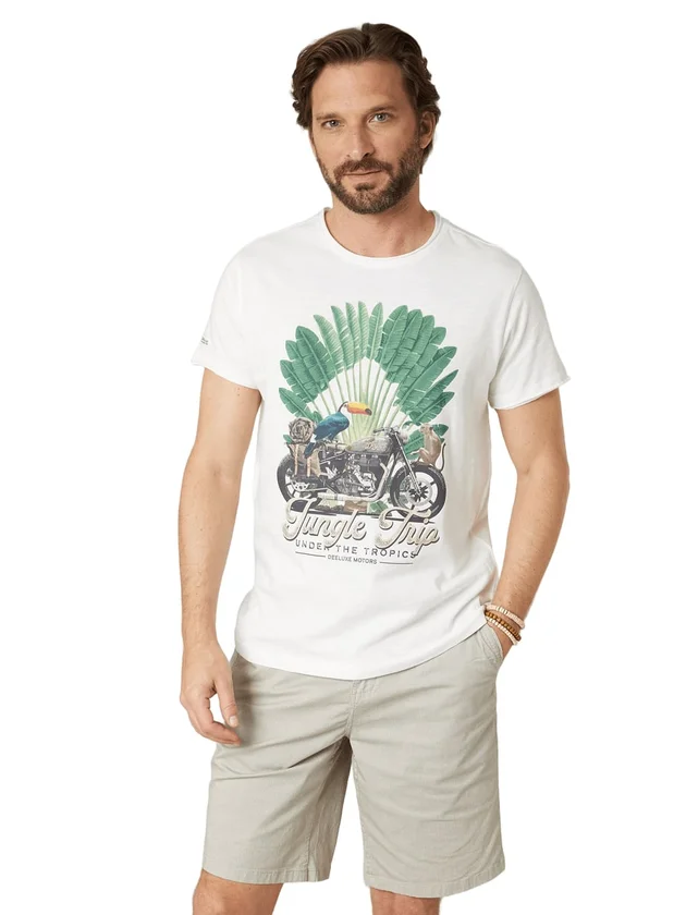 Aventura TS M+