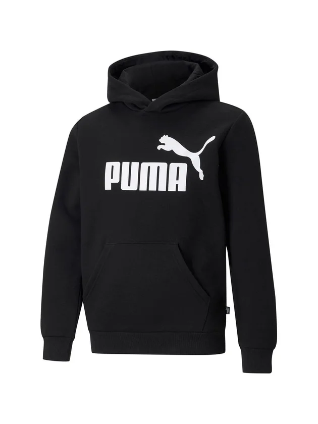 Ess Logo Hoody Fl