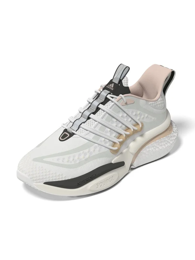 Alphaboost V1