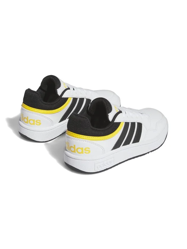 Hoops 3.0