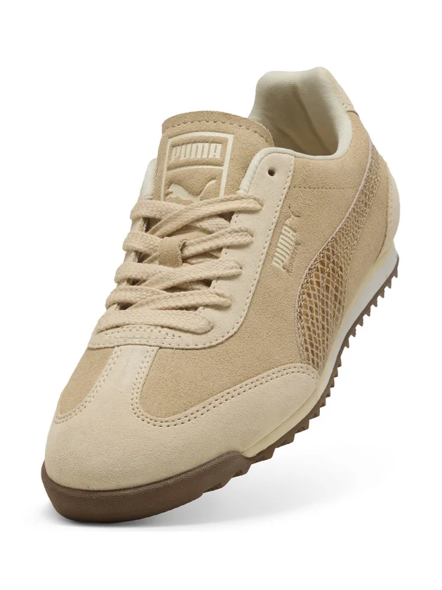 Arizona Snake