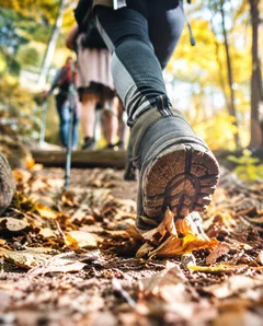 Trail
