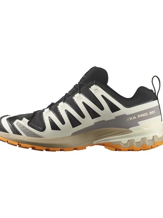 Xa Pro 3D V9 Gore-Tex