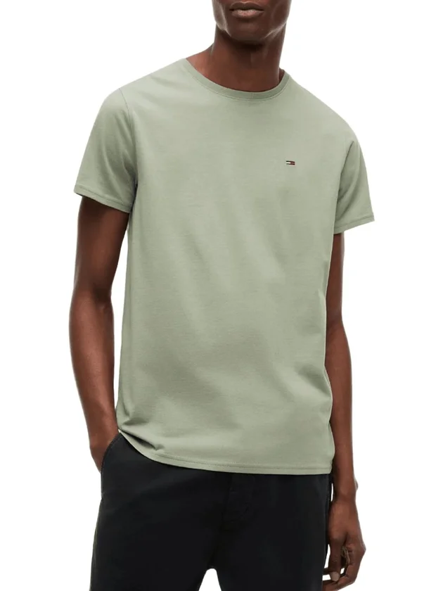 Tjm Reg Sflag Ss Tee