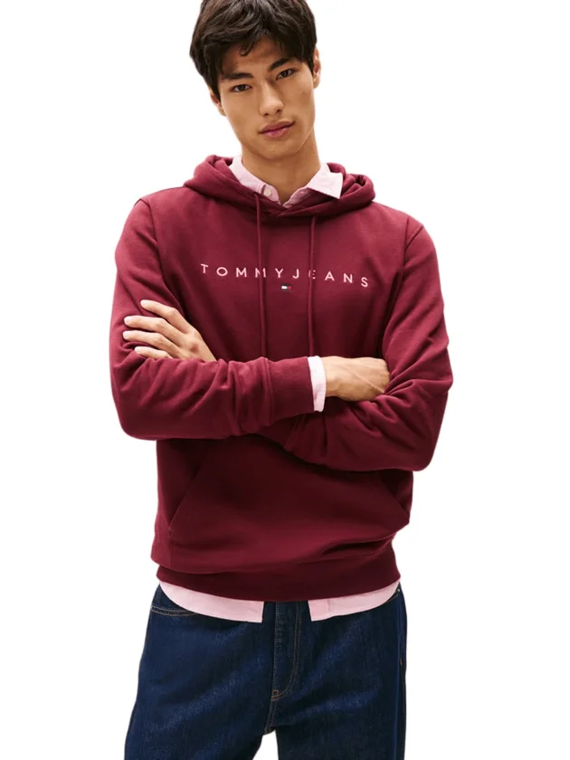 Reg Linear Logo Hoodie Ext
