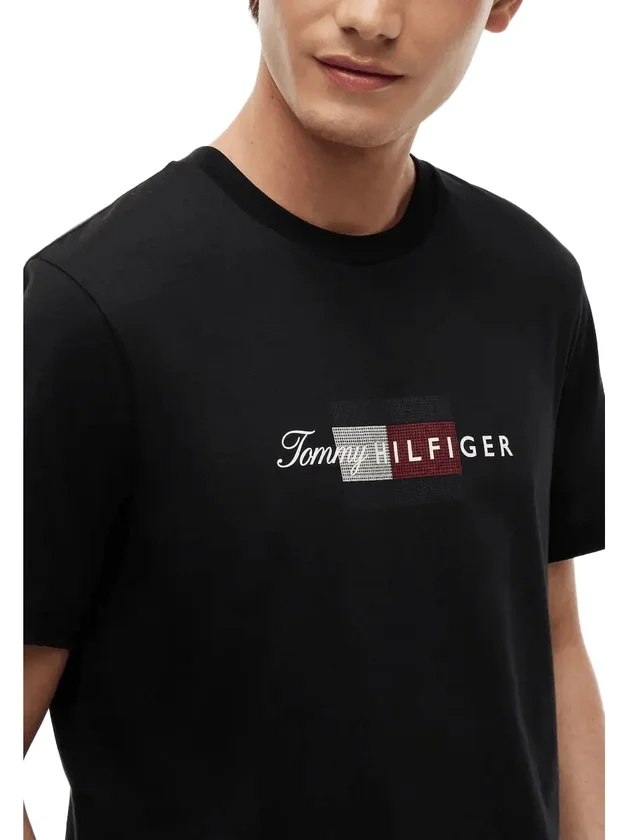 Script Flag Regular
