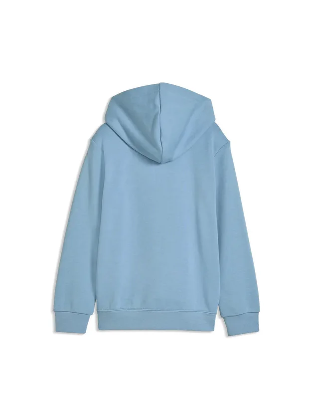 Ess No. 1 Logo Hoodie TR PS