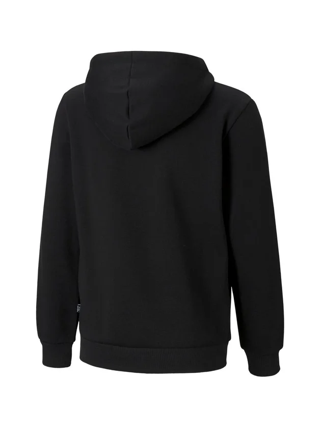 Ess Logo Hoody Fl